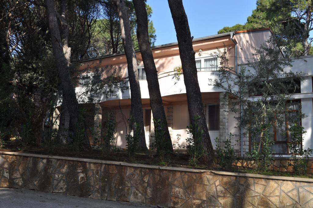Diana & Josip Apartment Biograd Na Moru
